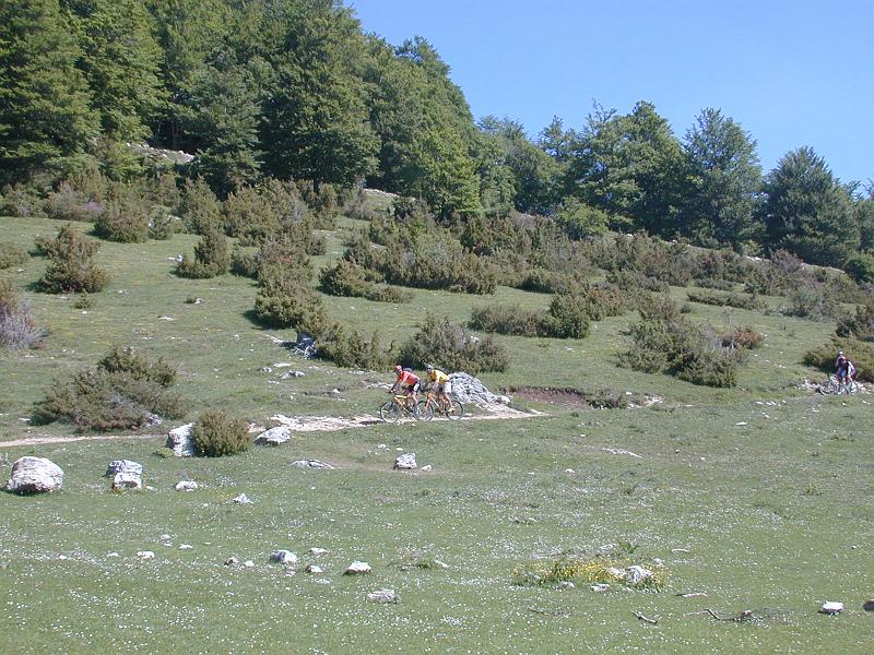 pedalata2 07.jpg